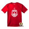 delta sigma theta t-shirt tee